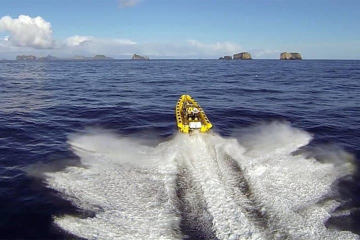 2 hour Round Trip in Vestmannaeyjar on a RIB Boat